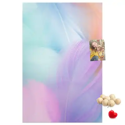 Pastel feathers cork pin board