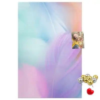 Pastel feathers cork pin board