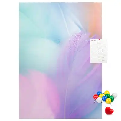 Cork pin board Pastel feathers