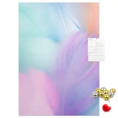 Pastel feathers cork pin board