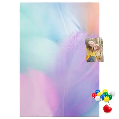 Pastel feathers cork pin board