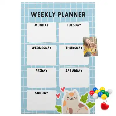 Weekly schedule cork pin board