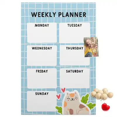 Weekly schedule cork pin board