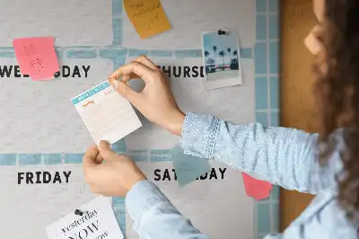 Weekly schedule cork pin board