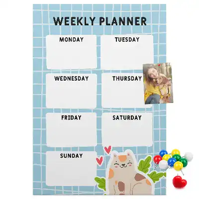 Weekly schedule cork pin board