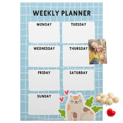 Weekly schedule cork pin board