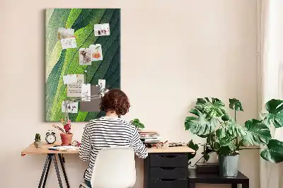 Natural landscape lines cork pin board