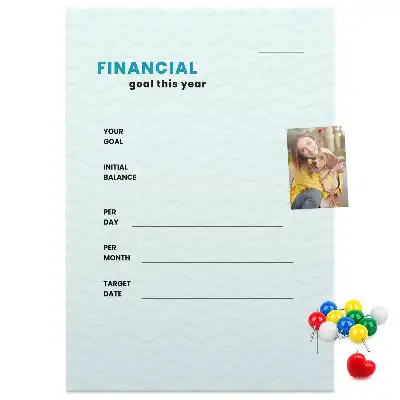 Wall cork memo board and budget planner