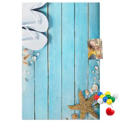 Shells on wood wall cork memo board