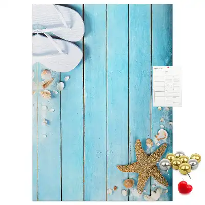 Shells on wood wall cork memo board