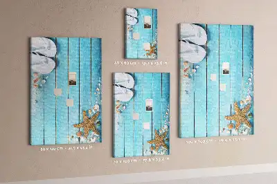 Shells on wood wall cork memo board