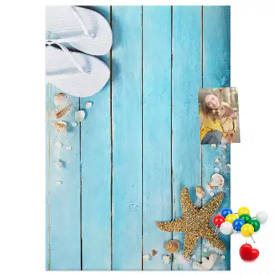 Shells on wood wall cork memo board