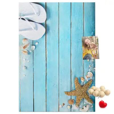 Shells on wood wall cork memo board