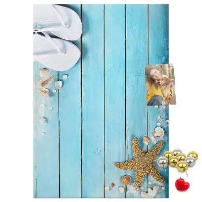 Shells on wood wall cork memo board