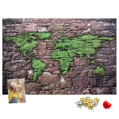 Cork memo board World map on the wall
