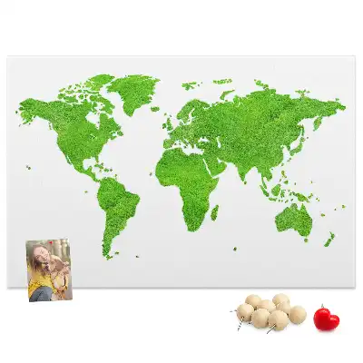 Green grass map cork memo board
