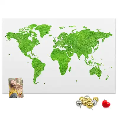 Green grass map cork memo board