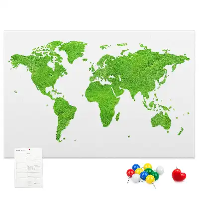 Green grass map cork memo board