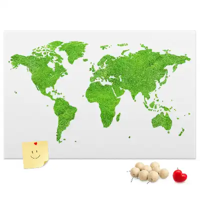 Green grass map cork memo board