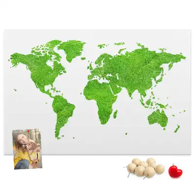 Cork memo board Green grass map