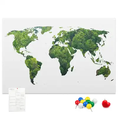 Printed Cork Board Green forest map