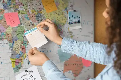 World map cork memo board
