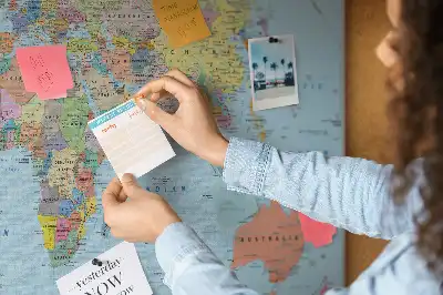 Printed Cork Board Political world map