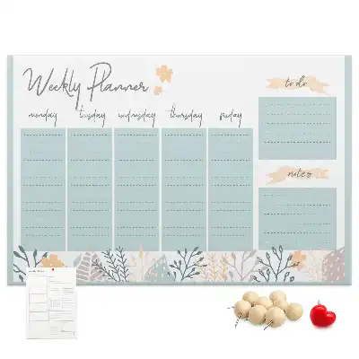 Cork memo board Weekly schedule