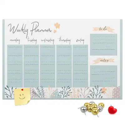 Weekly schedule cork memo board