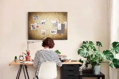 Printed Cork Board Old world map
