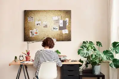 Printed Cork Board Old world map