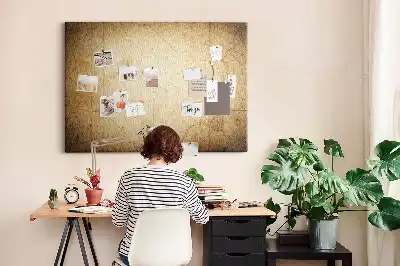 Printed Cork Board Old world map