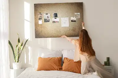 Printed Cork Board Old world map