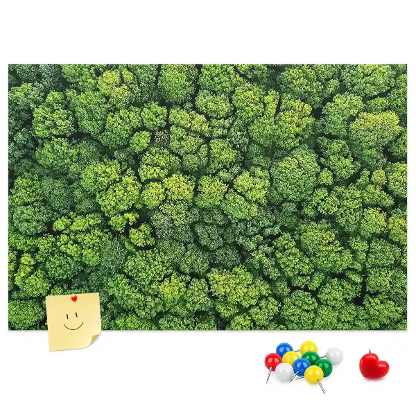 Printed Cork Memo Board Forest from a bird's eye view
