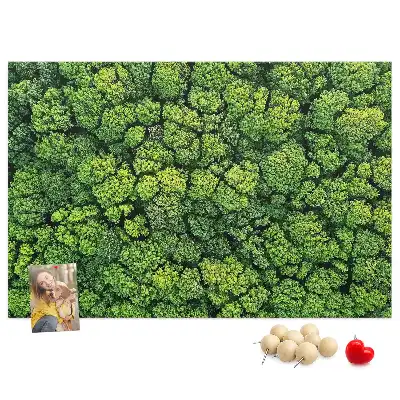 Printed Cork Memo Board Forest from a bird's eye view