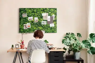 Printed Cork Memo Board Forest from a bird's eye view