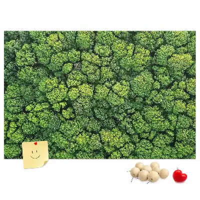 Printed Cork Memo Board Forest from a bird's eye view