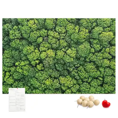Printed Cork Memo Board Forest from a bird's eye view