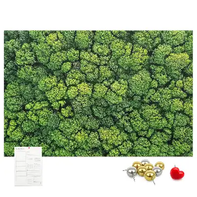 Printed Cork Memo Board Forest from a bird's eye view