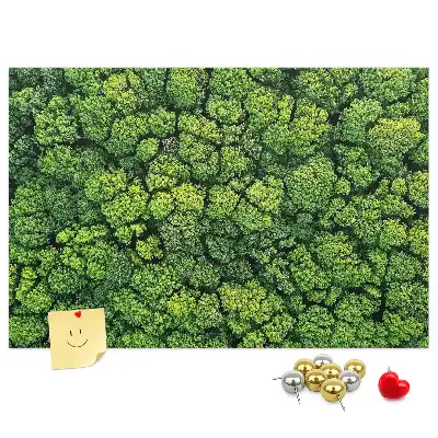 Printed Cork Memo Board Forest from a bird's eye view