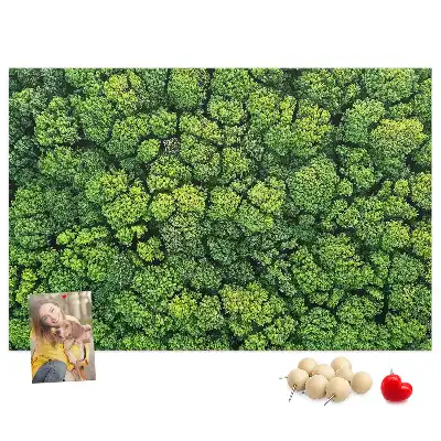 Printed Cork Memo Board Forest from a bird's eye view