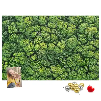 Printed Cork Memo Board Forest from a bird's eye view