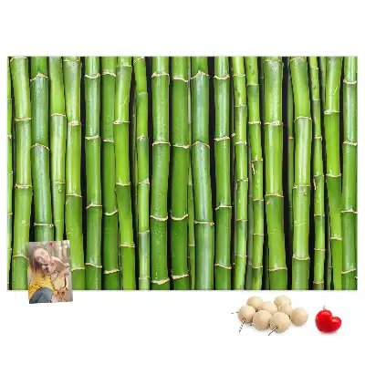 Cork memo board Bamboo wall