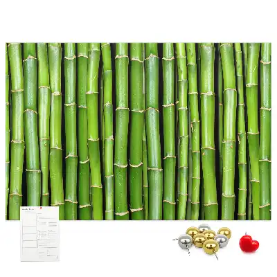 Cork memo board Bamboo wall