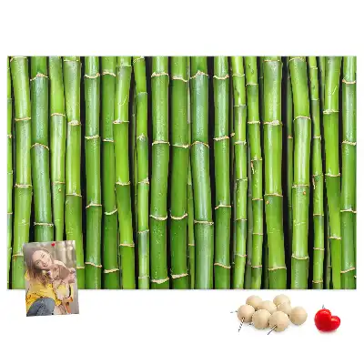 Cork memo board Bamboo wall