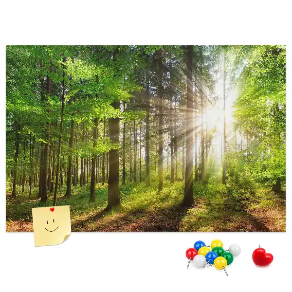 Printed Cork Board Forest sunrise