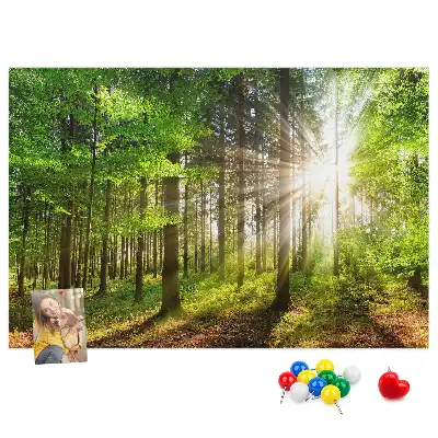 Printed Cork Board Forest sunrise