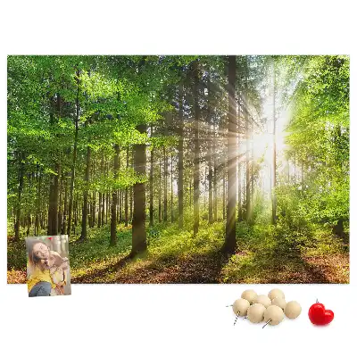 Printed Cork Board Forest sunrise