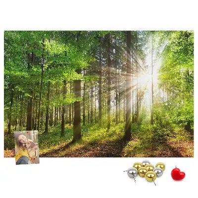 Printed Cork Board Forest sunrise
