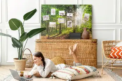 Printed Cork Board Forest sunrise
